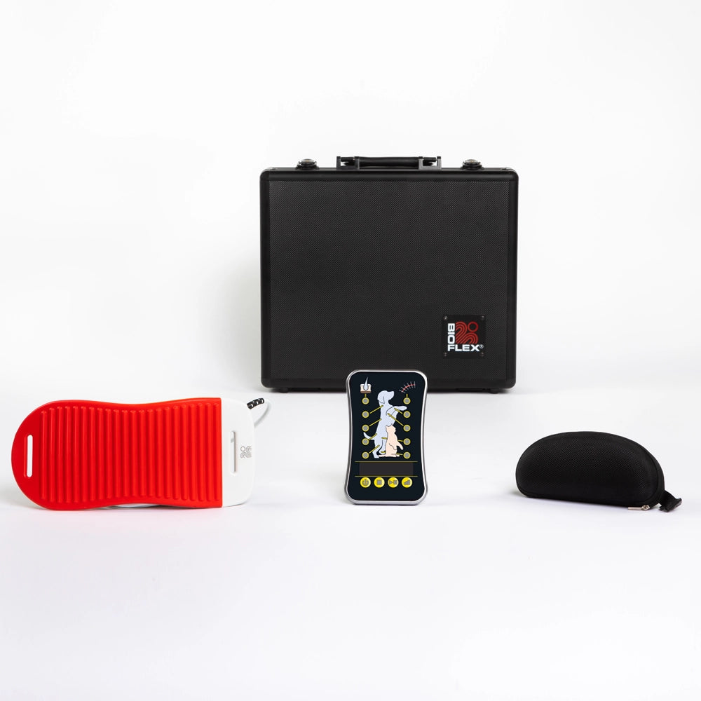 P120 Pet System
